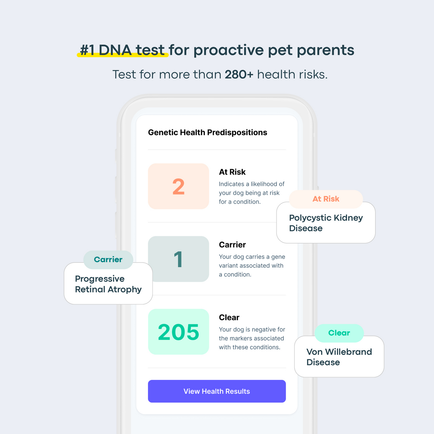 Breed + Health Dog DNA Test