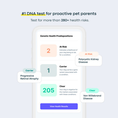Breed + Health Dog DNA Test