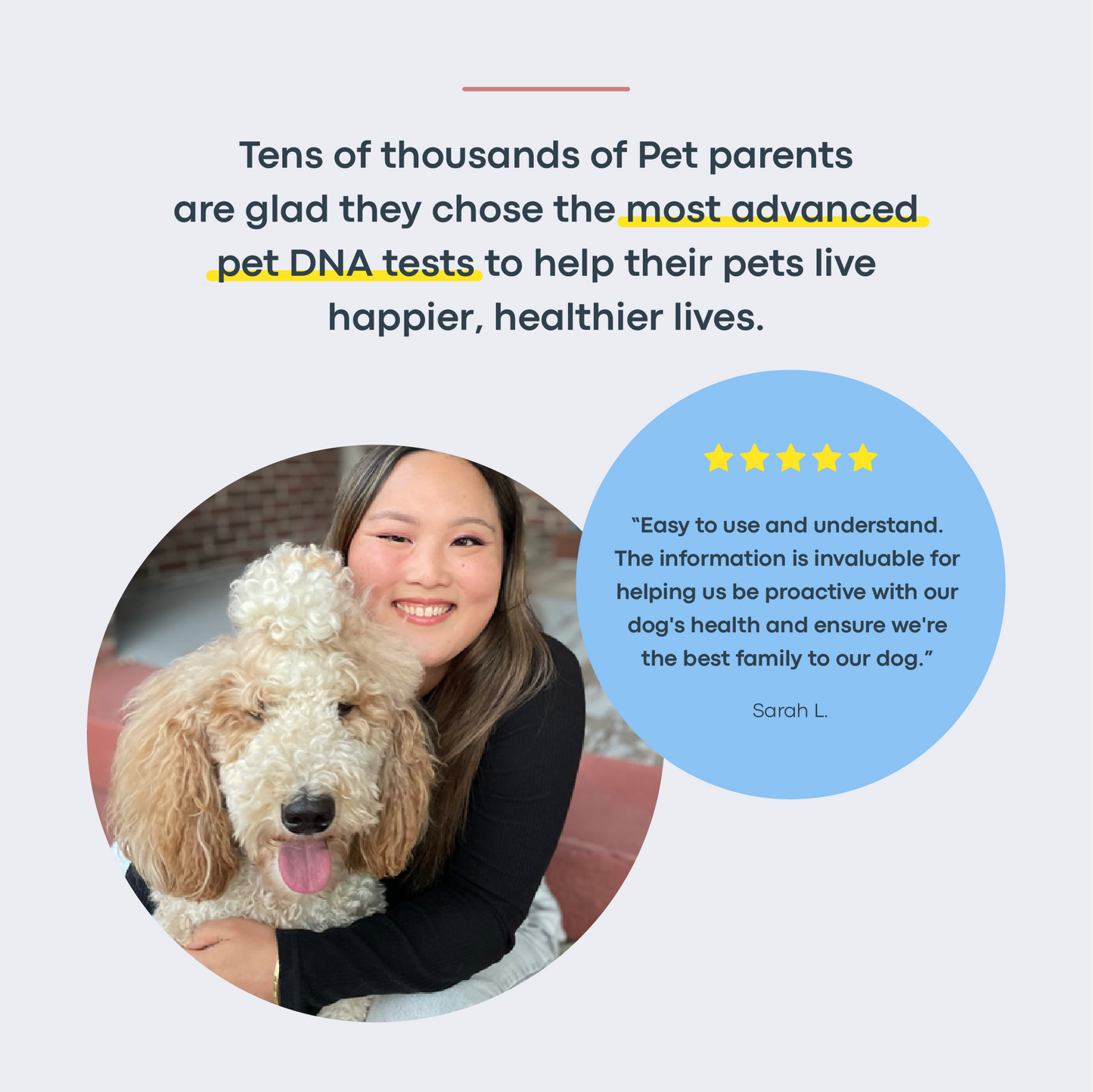 Breed + Health Dog DNA Test